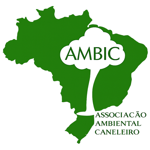 Logomarca AMBIC